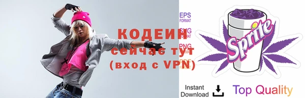 скорость Дмитриев