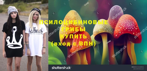 скорость Дмитриев