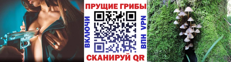 Купить где  Новоалександровск  Псилоцибиновые грибы ЛСД 